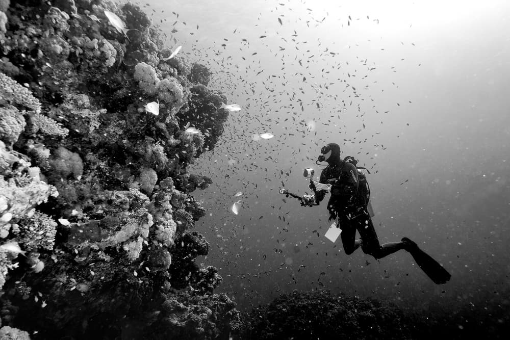 Diver Explores Coral Reef by Marcel Rebro — canvas wall art