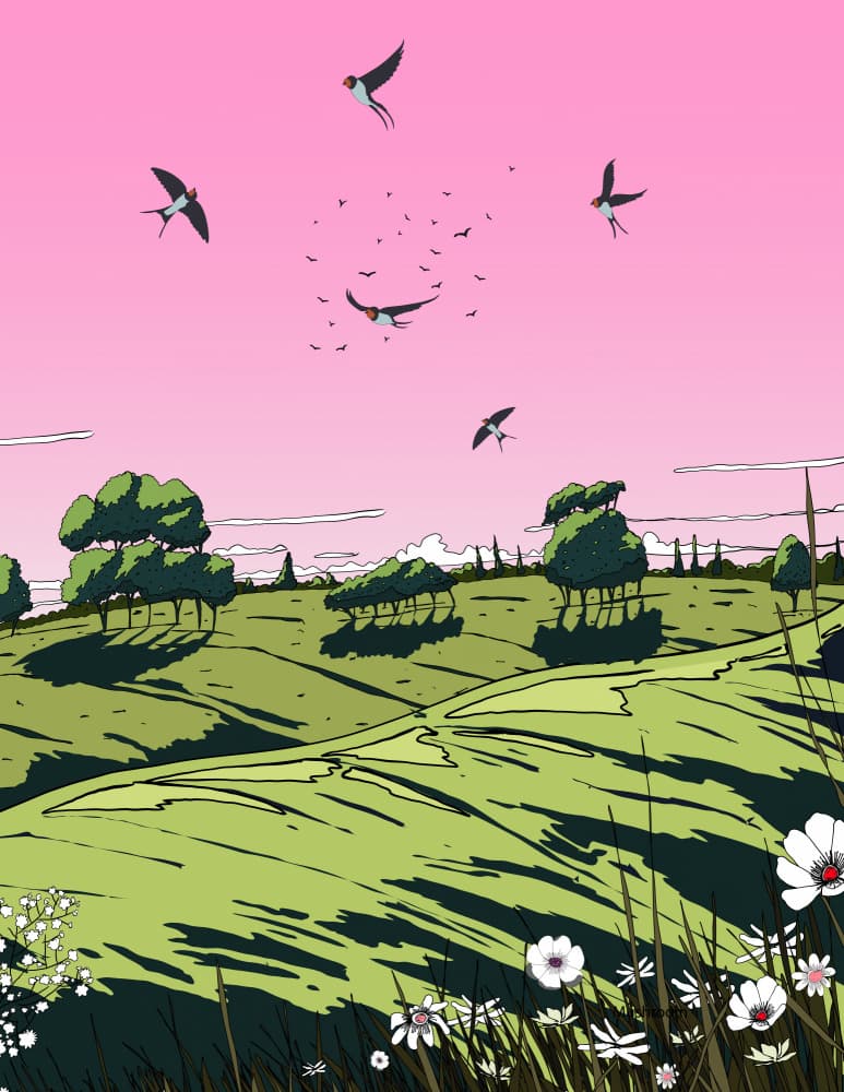 Swallows Flying Pink Sky by Nicholas — canvas wall art