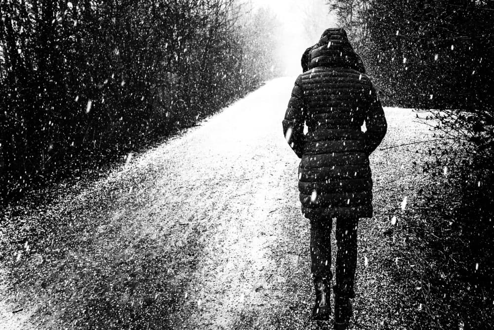 Solitary Winter Walk by Michael — canvas wall art
