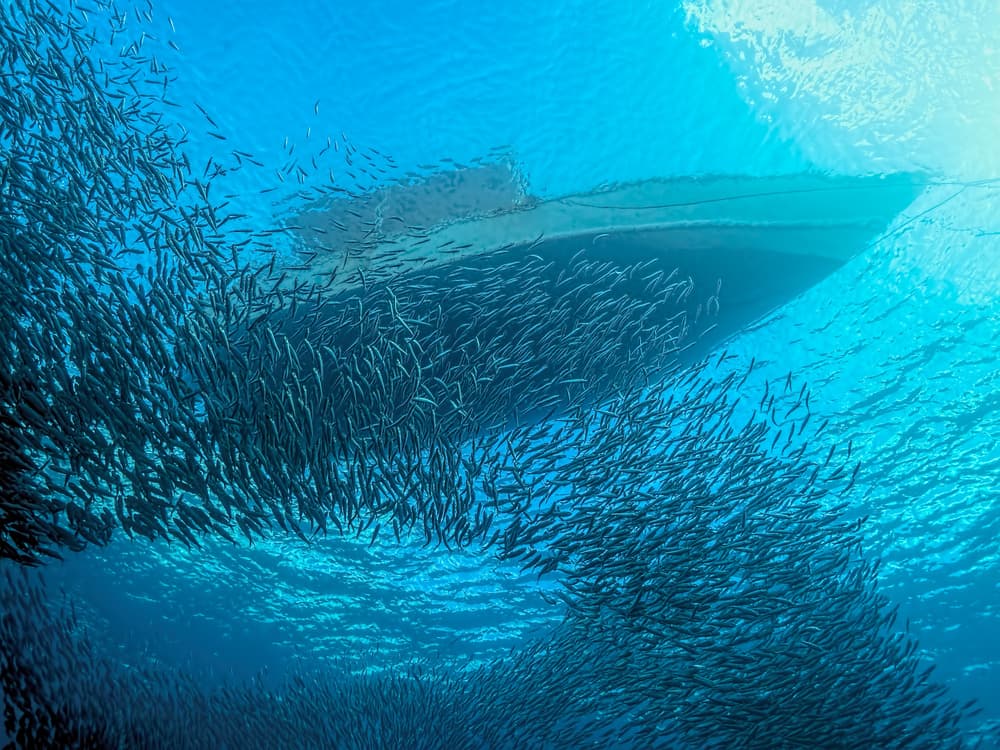Underwater Fish and Boat by Henry Jager — canvas wall art
