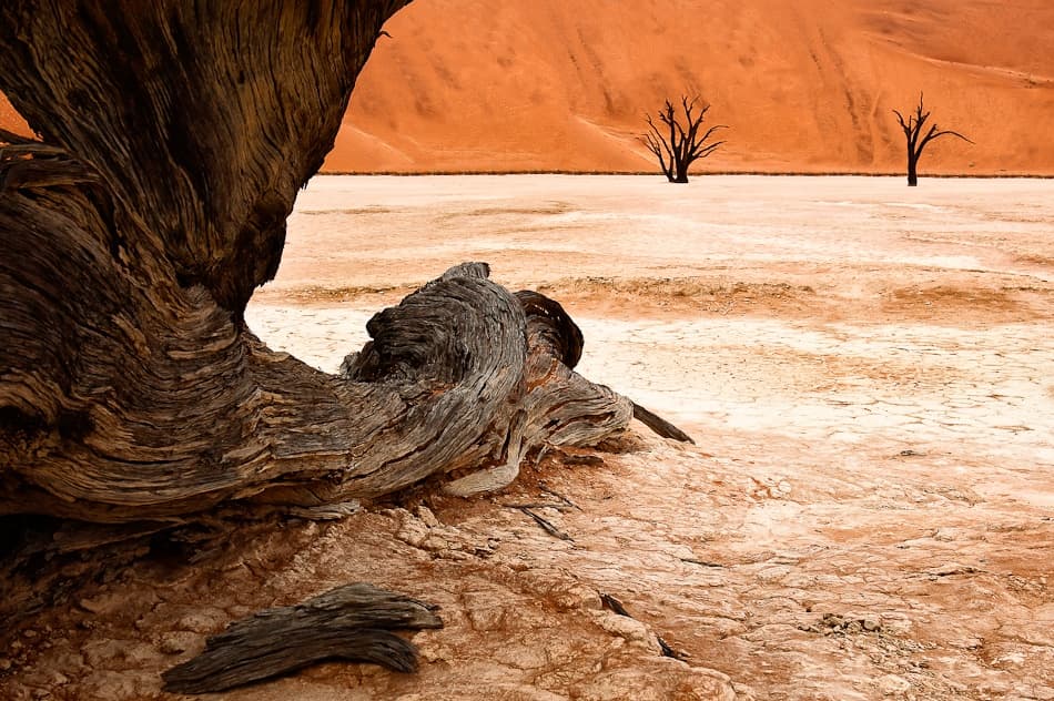 Ancient Desert Landscape by Hilde Ghesquiere — canvas wall art
