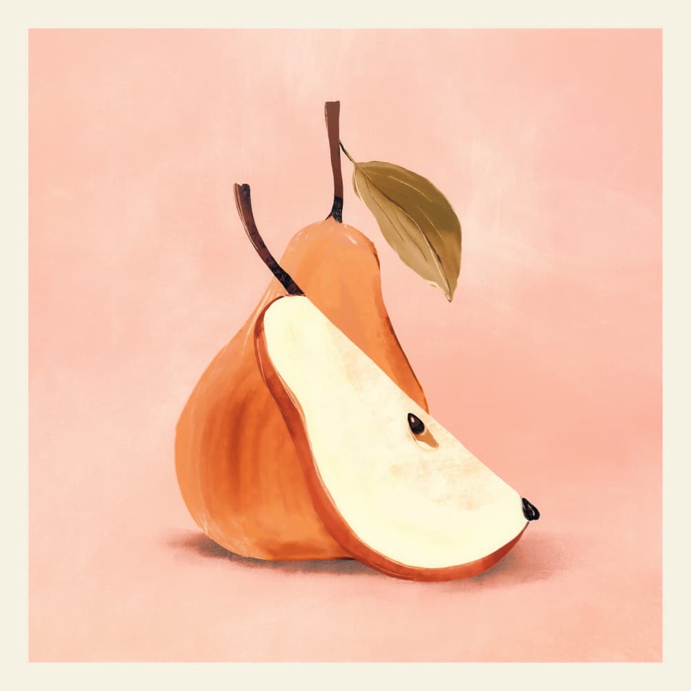 Blush Pears Still Life