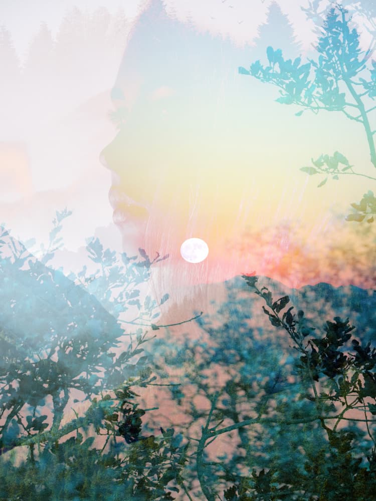Serene Nature Profile by Gemma Bardot — canvas wall art