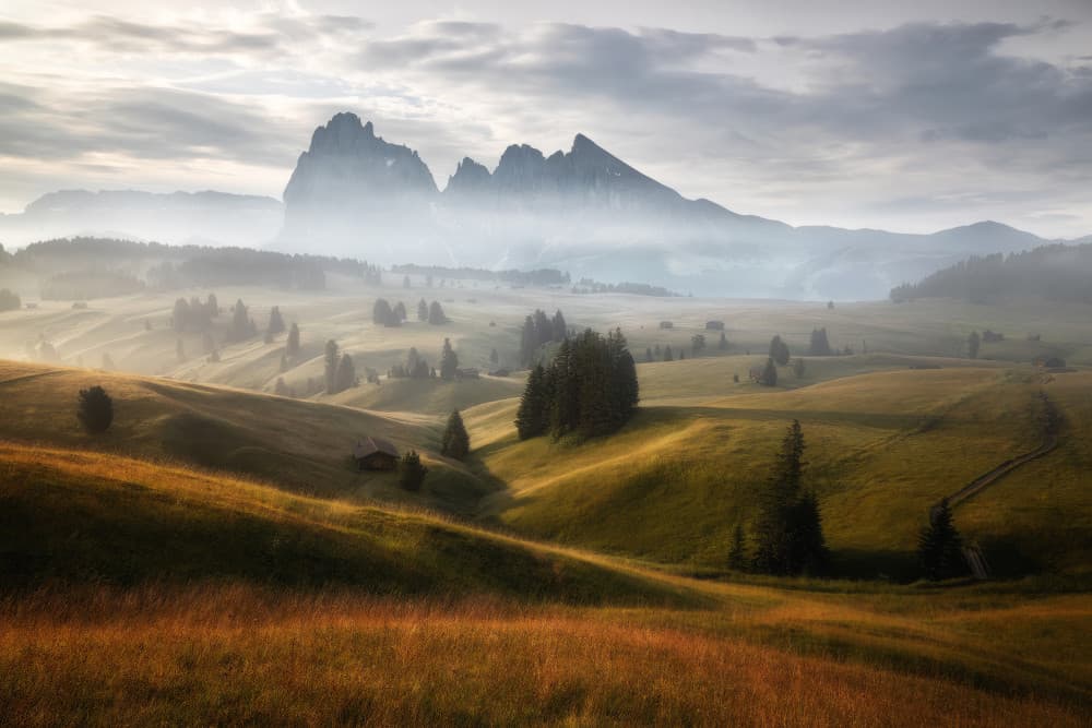 Misty Alpine Meadow by Fiorenzo Carozzi — canvas wall art
