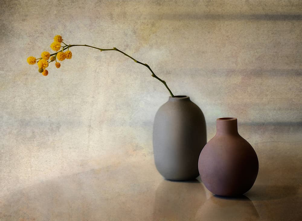 Minimalist Floral Vases by Elena Arjona — canvas wall art