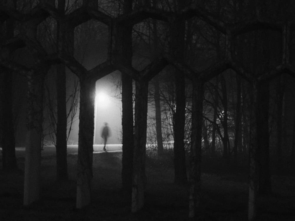 Misty Forest Figure by Fernando Coelho — canvas wall art
