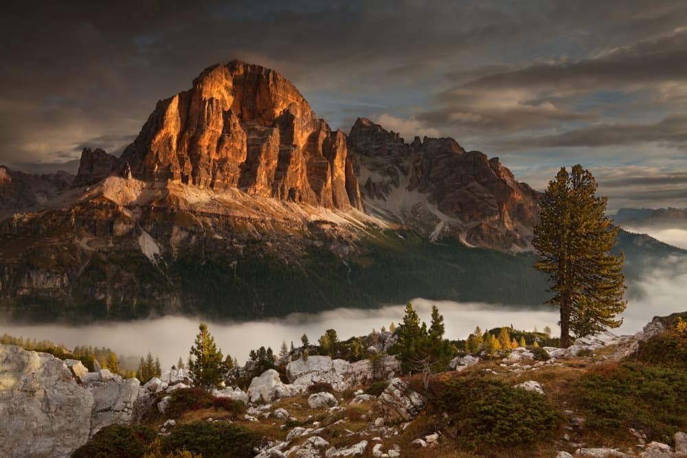 Golden Peaks Morning Mist by Daniel Řeřicha — canvas wall art