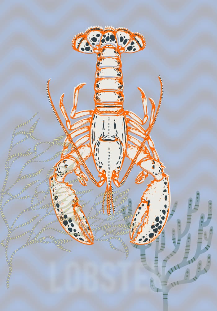 Stylized Ocean Lobster by Annick — canvas wall art