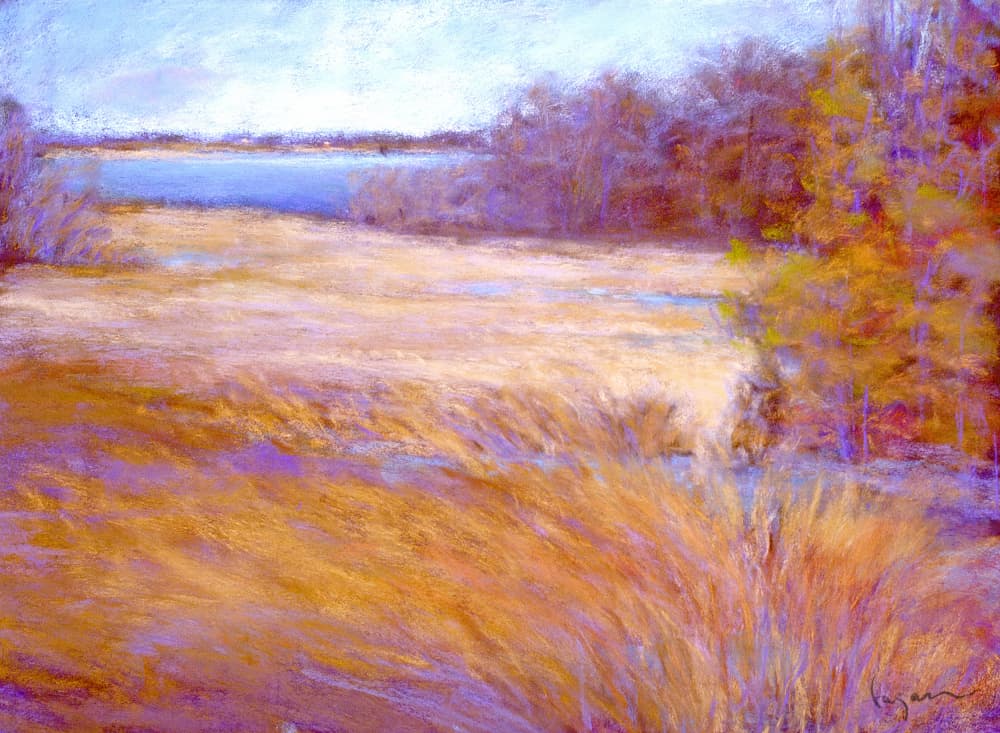 Winter Marsh by Dorothy Fagan — canvas wall art