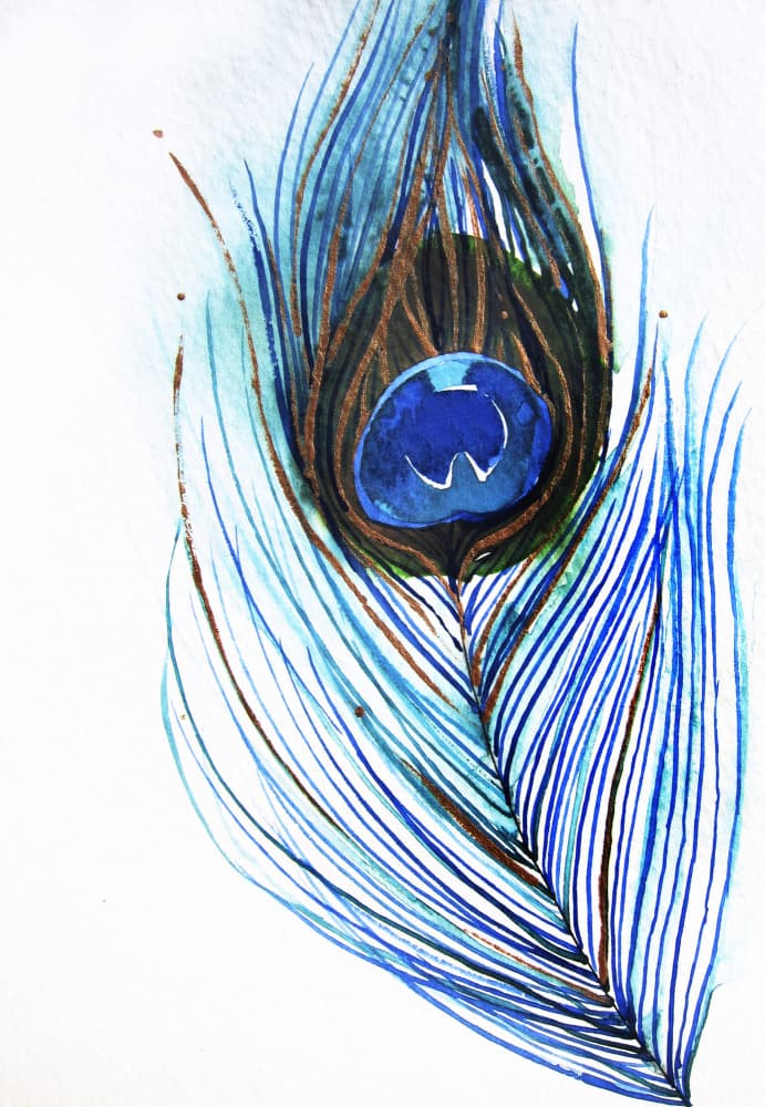 Vibrant Blue Peacock Feather by Christine Lindstrom — canvas wall art