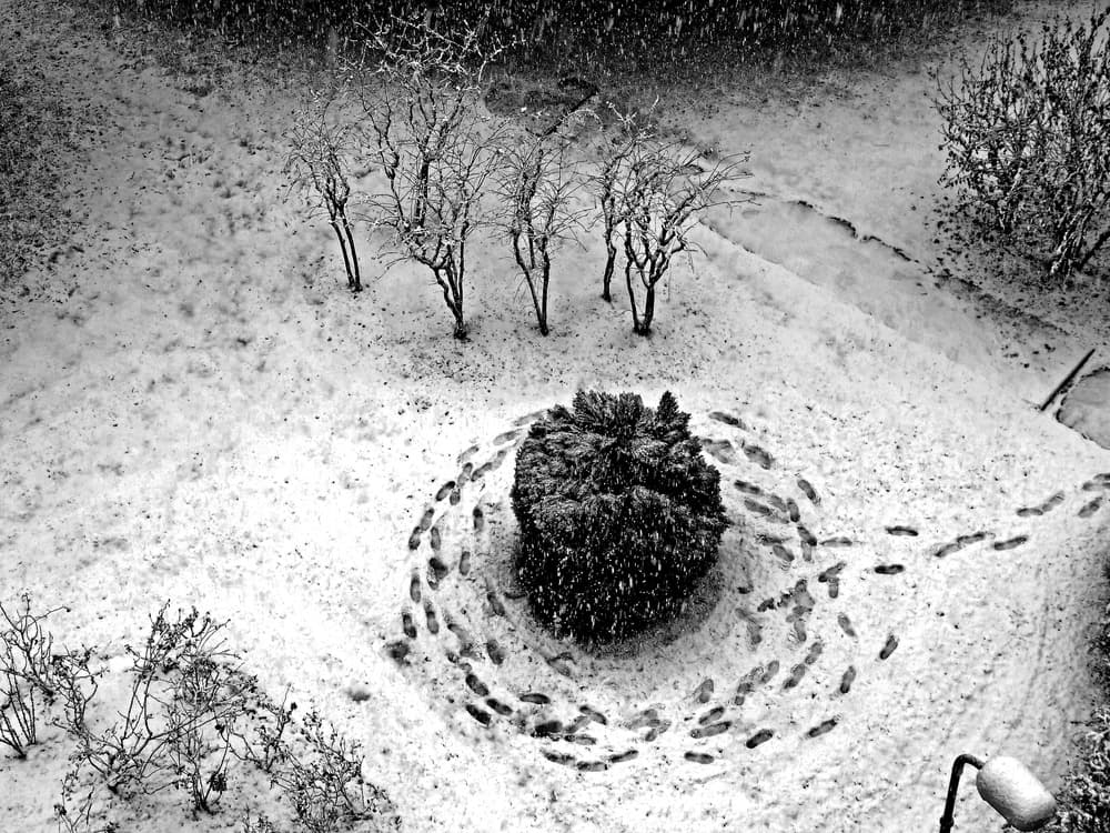 Footprints in Winter Garden by Giorgio Pizzocaro — canvas wall art