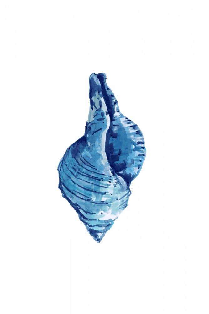 Watercolor Blue Seashell by cartissi — canvas wall art