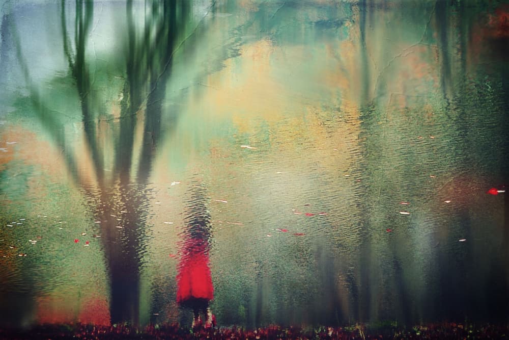 Red Coat In Rainy Forest by cindy ahn — canvas wall art