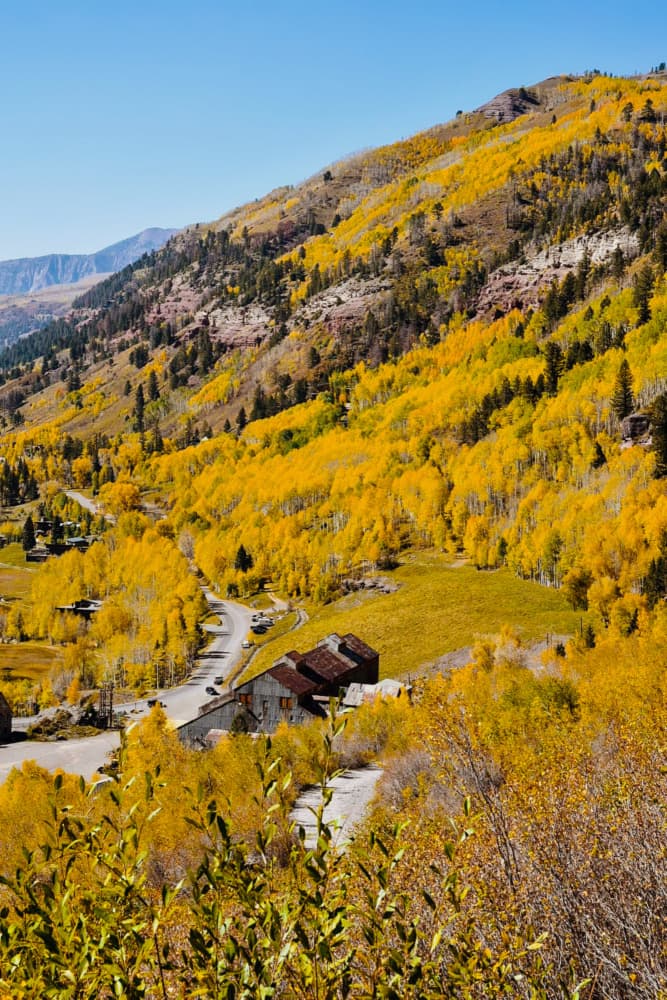 Historic Golden Aspen Valley by Del Mundo Imagery — canvas wall art