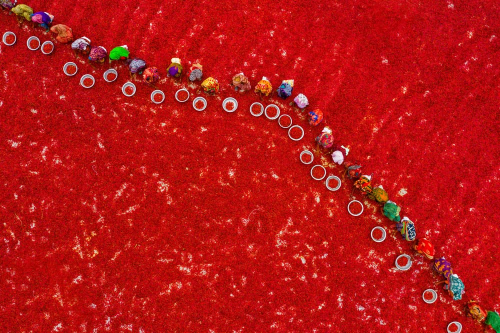 Vibrant Red Harvest by Azim Khan Ronnie — canvas wall art