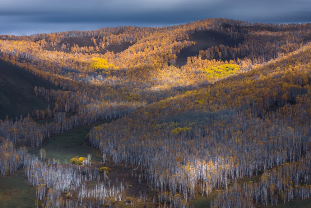 Golden Autumn Hills by UU — canvas wall art