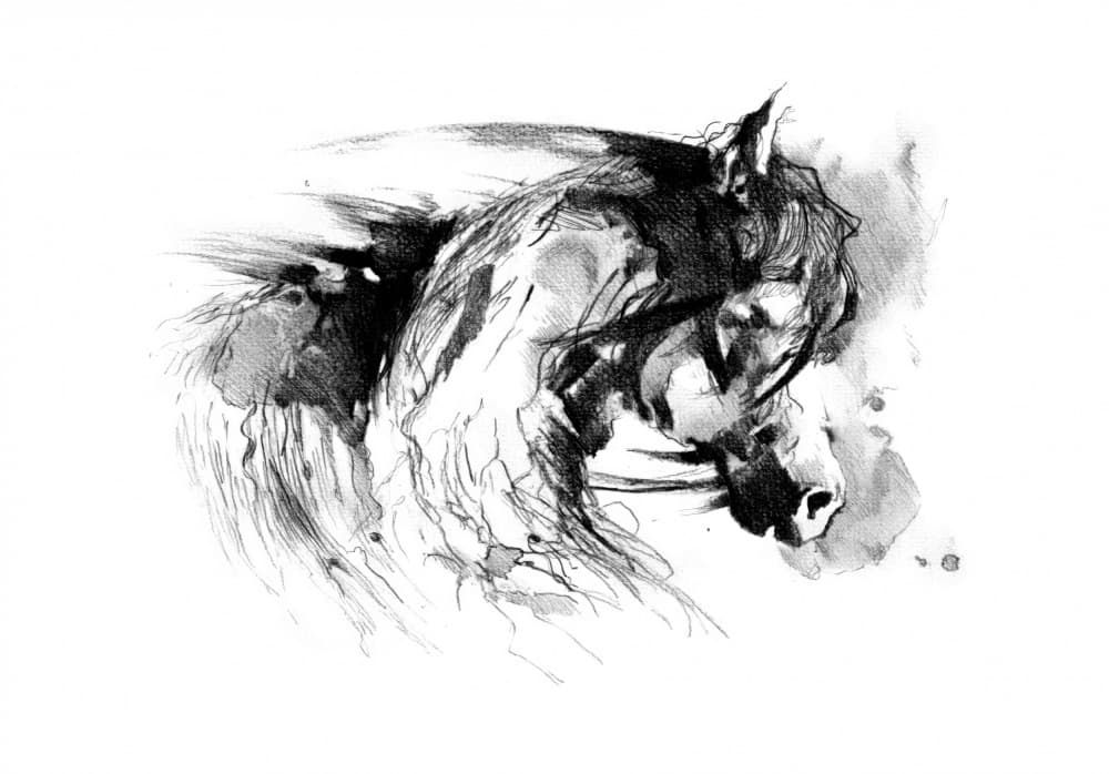 Wild Horse Sketch by Kulik — canvas wall art