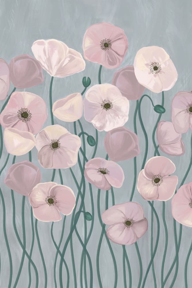 Blush Pink Poppies by EMELIEmaria — canvas wall art