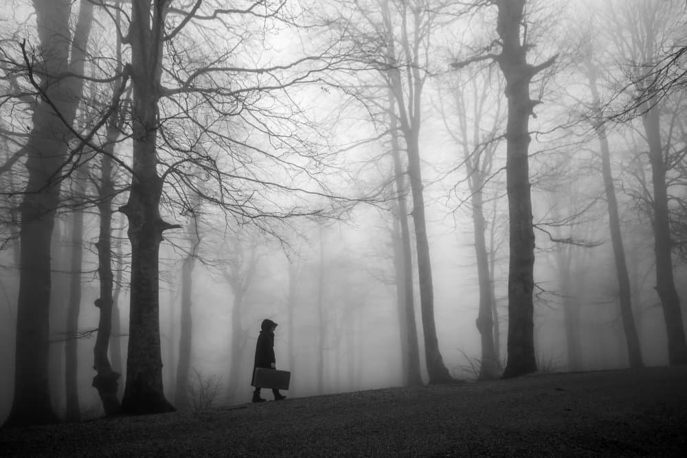 Foggy Woods Traveler by Ummu Nisan Kandilcioglu — canvas wall art