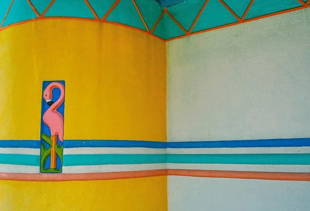 Colorful Flamingo Corner by Del Mundo Portraits — canvas wall art