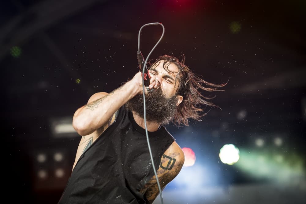 Intense Rock Singer by Stijn V. — canvas wall art