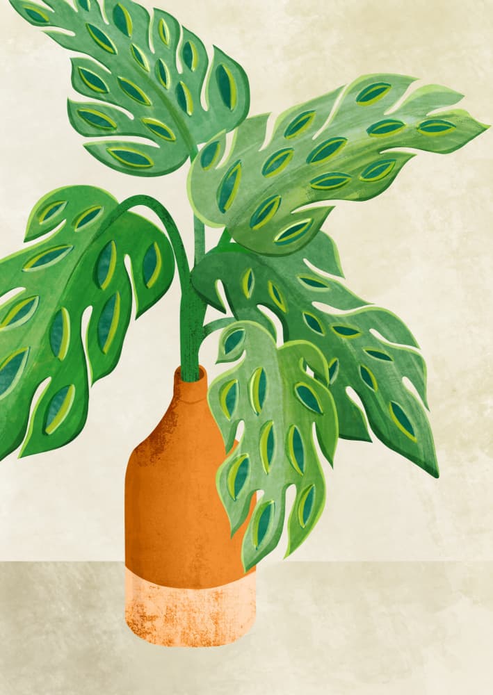 Mini Monstera by Kristian Gallagher — canvas wall art