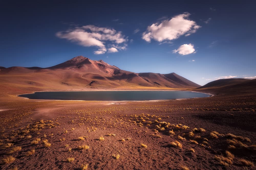 Serene Desert Lake View by Adhemar Duro — canvas wall art