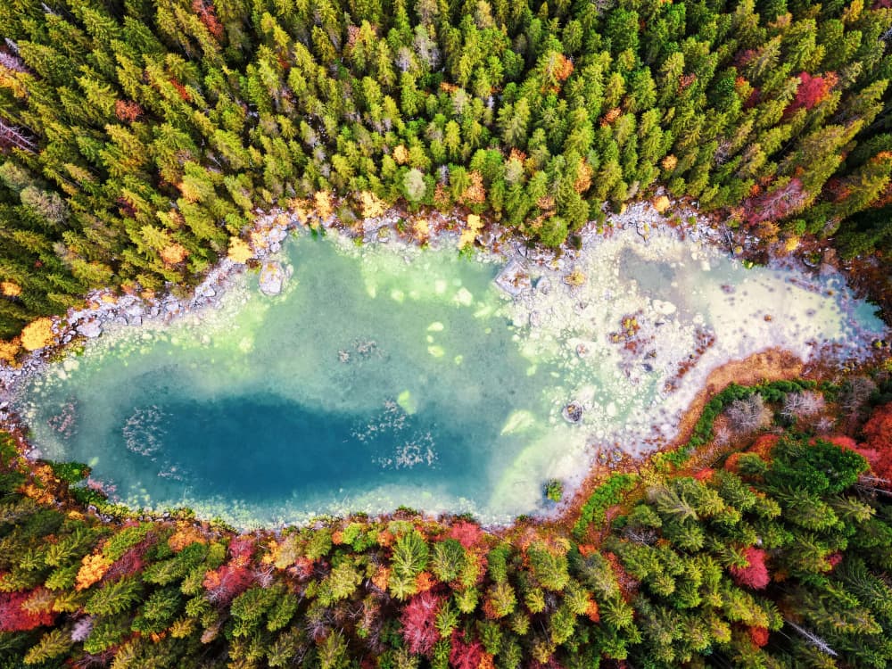 Autumn Forest Lake Aerial by Barhamji — canvas wall art