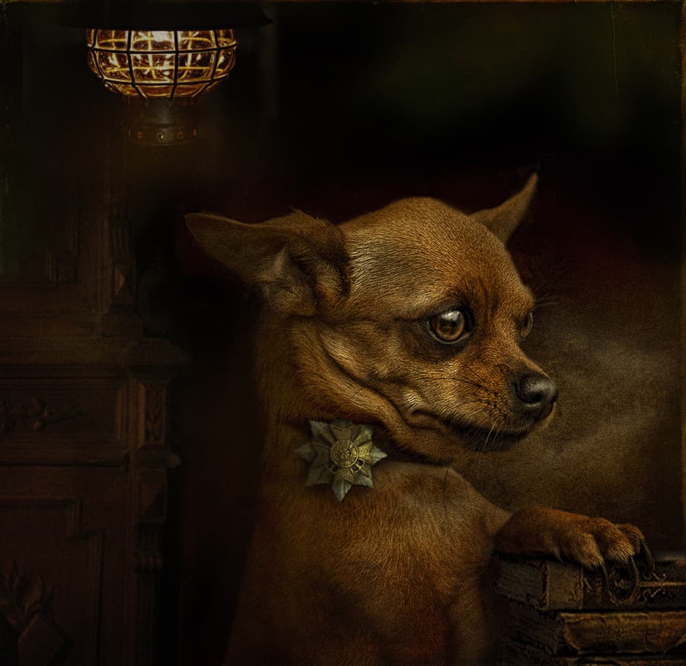 Distinguished Dog Scholar by Svetlana Melik-Nubarova — canvas wall art