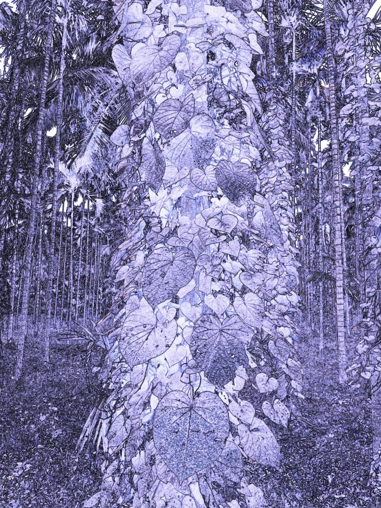 Purple Forest Leaves by Santhosh ch — canvas wall art