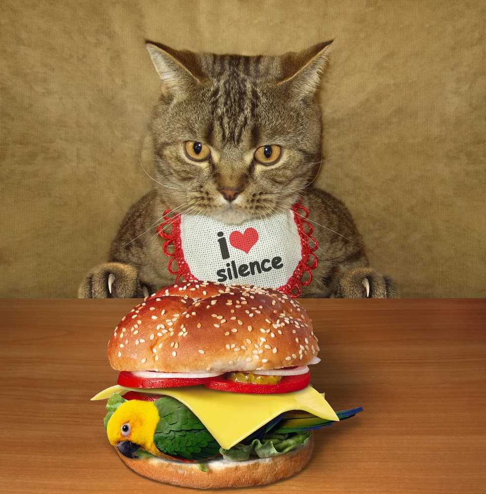 Cat's Silent Feast by Iryna Kuznetsova (Iridi) — canvas wall art