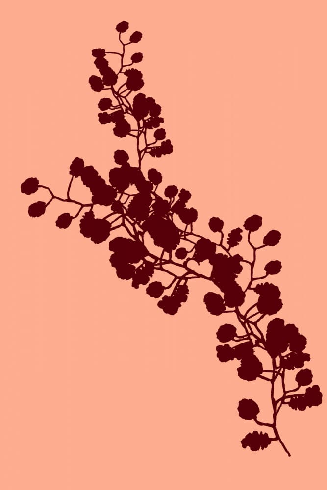 Elegant Floral Silhouette by cartissi — canvas wall art