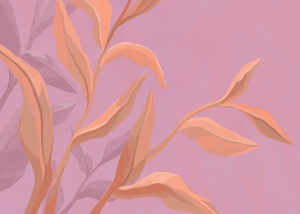 Pink Botanical Flow by Goed Blauw — canvas wall art