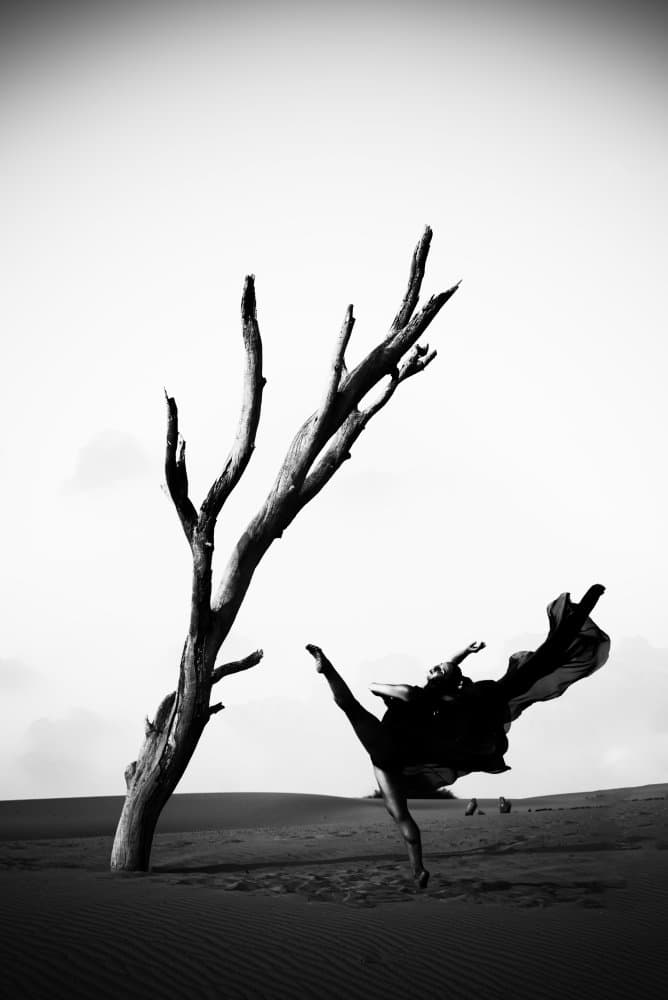 Dramatic Desert Dance by Dekel Abu — canvas wall art