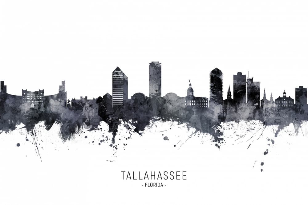 Tallahassee Florida Skyline by Michael Tompsett — canvas wall art