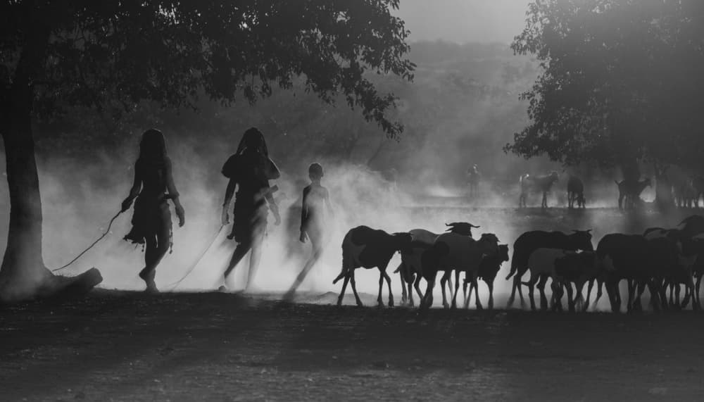 Shepherds in Morning Mist by Mei Shi — canvas wall art