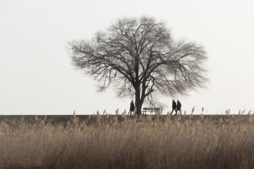 Serene Winter Landscape by Emanuela Sol — canvas wall art