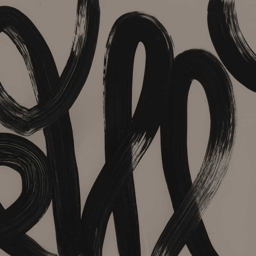 Dynamic Black Brushstrokes by Edward Selkirk — canvas wall art