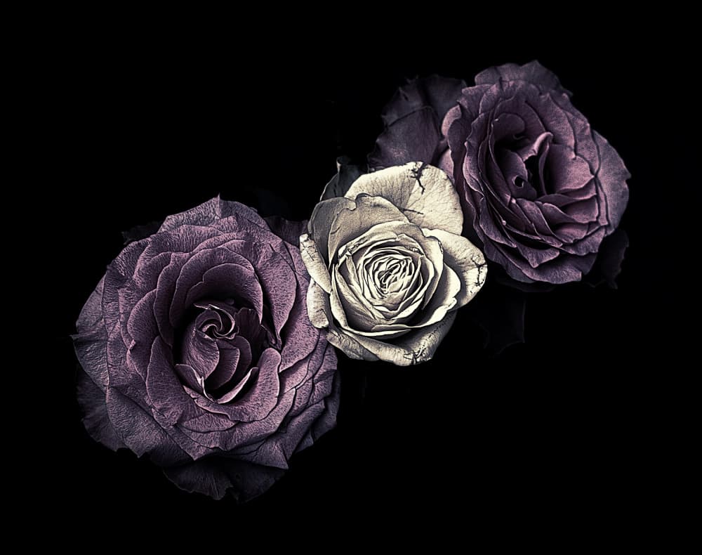 Moody Purple Blooms by Angel Julie — canvas wall art