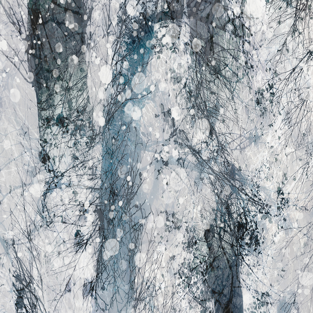 Fantasy in snow