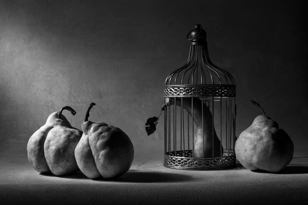 Pears and Cage Still Life by Victoria Glinka — canvas wall art