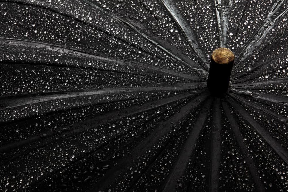 Rain Drops on Umbrella by Gilbert Claes — canvas wall art