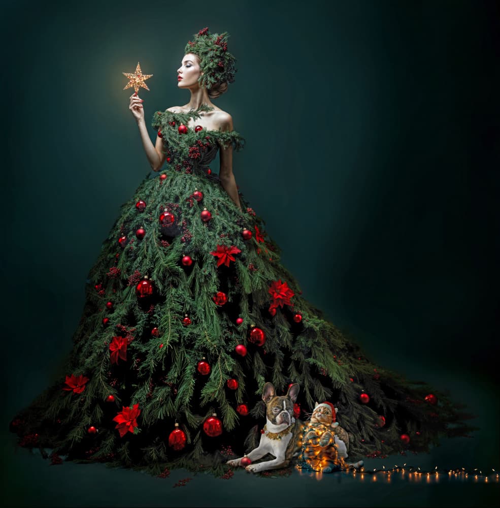 Whimsical Christmas Dress by DDiArte — canvas wall art