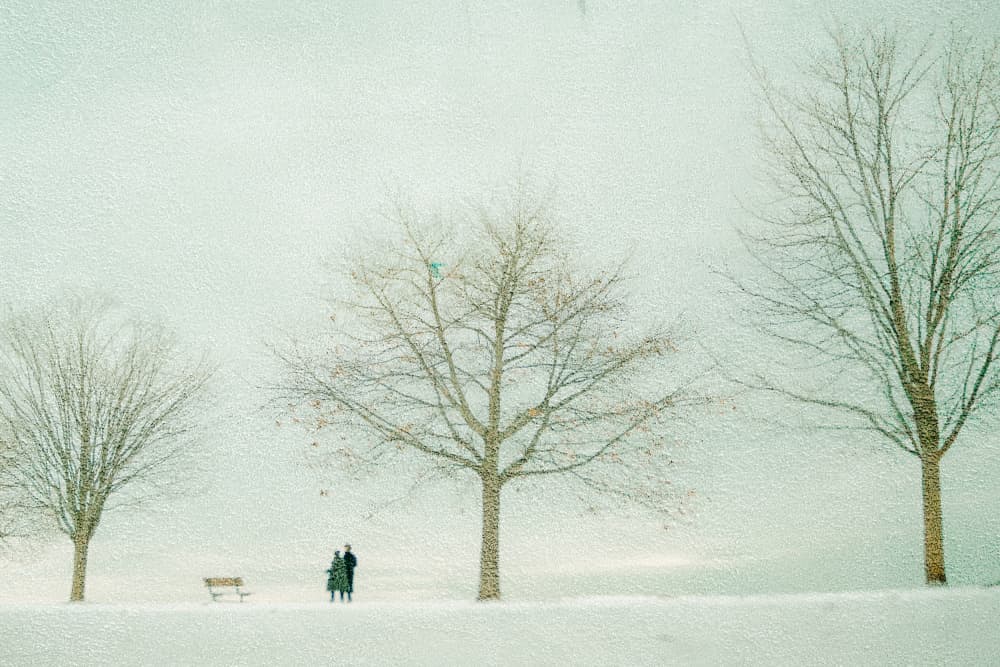 Quiet Winter Walk by Cindy Liu — canvas wall art