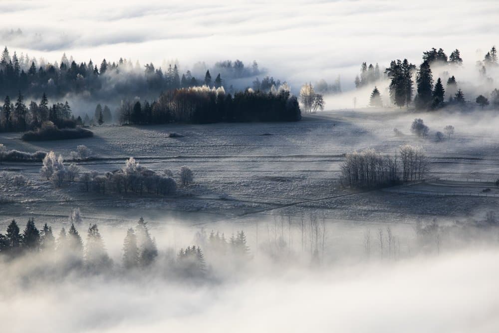 Misty Winter Valley by Aneta Mikulska — canvas wall art