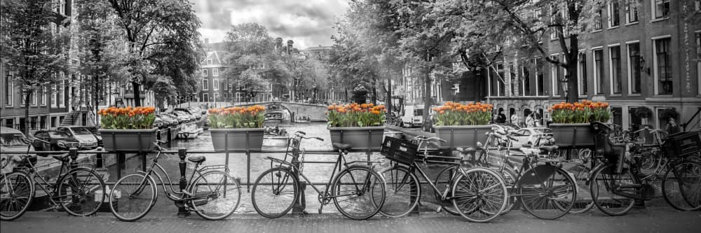 Amsterdam Canal Bicycles Flowers by Melanie Viola — canvas wall art