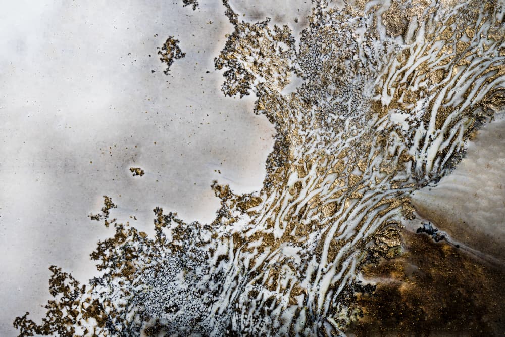 Luxury - Aztecs Whispers by Petra Meikle de Vlas — canvas wall art
