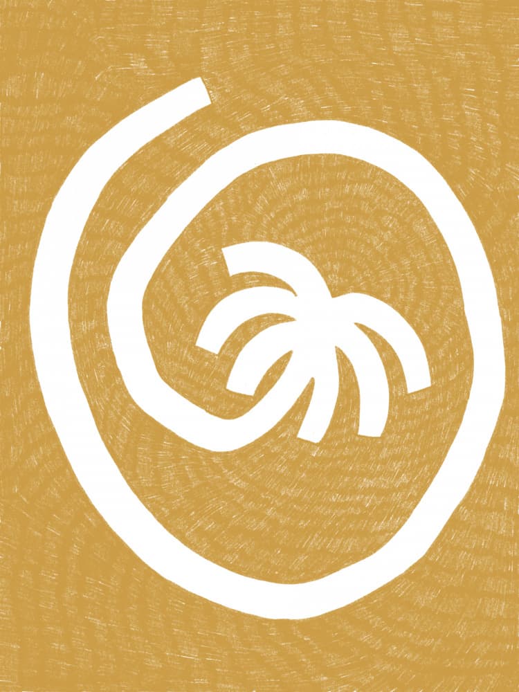 Golden Spiral Palm by Shatha Al Dafai — canvas wall art
