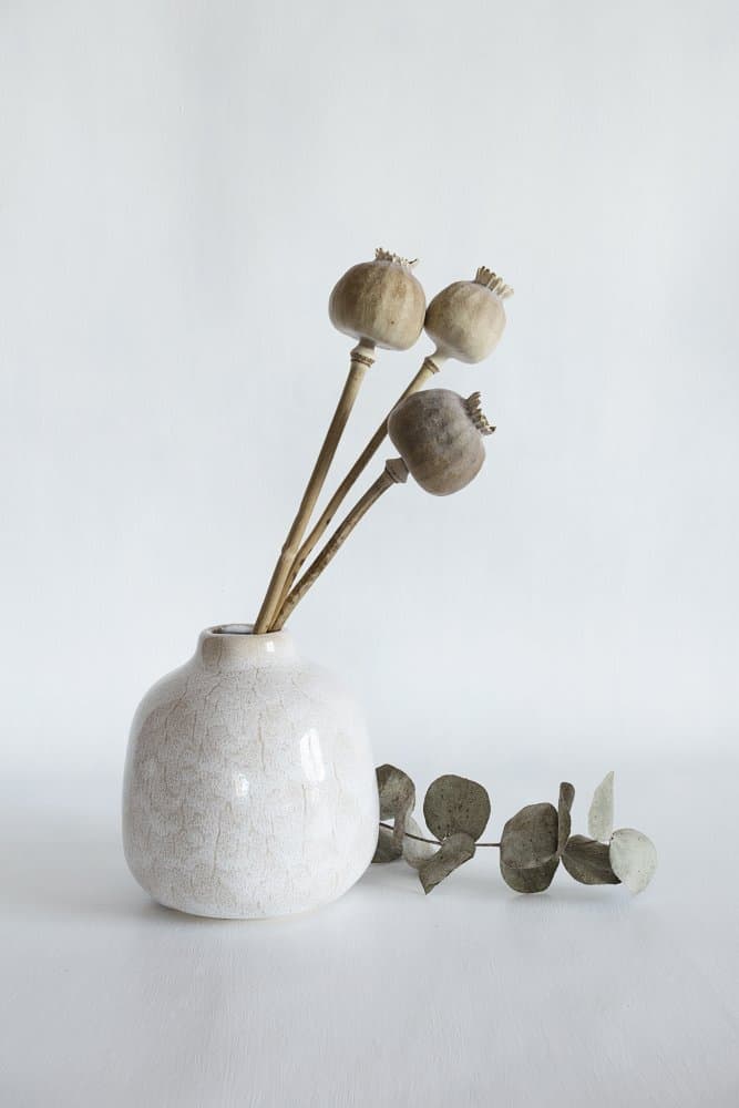 Dried Poppy Pods Vase by Cicek Kiral — canvas wall art