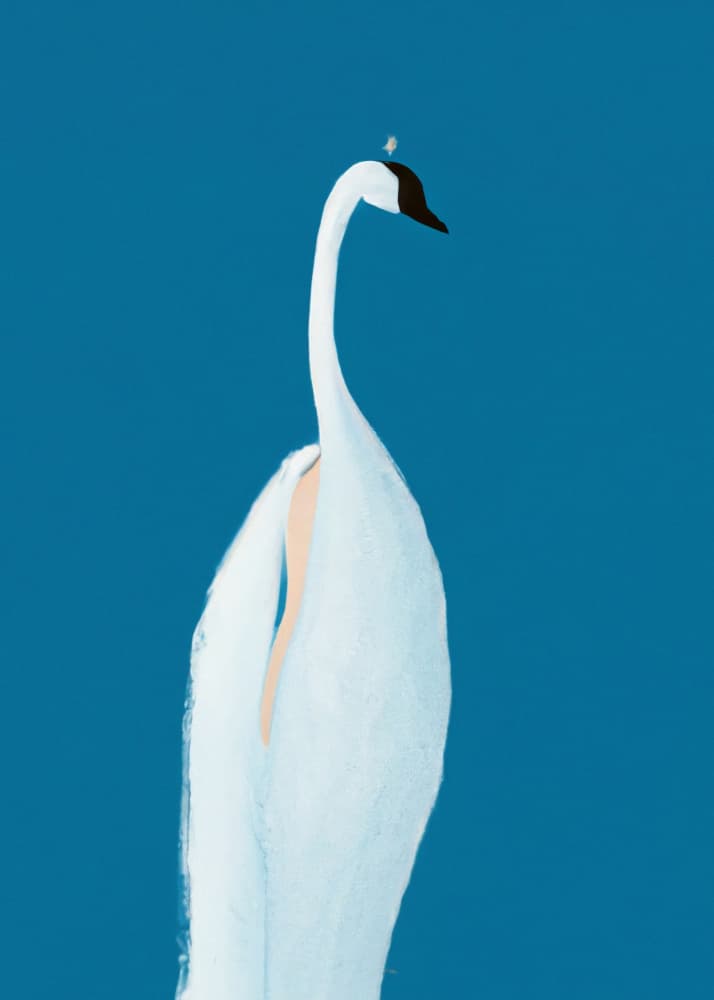 Elegant White Swan by Merel Takken — canvas wall art